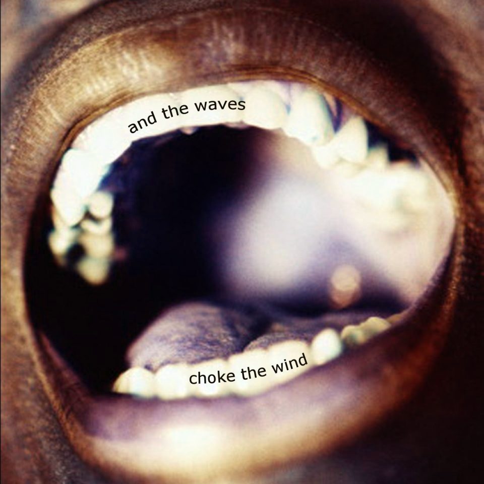 Cover art for And the Waves Choke the Wind
