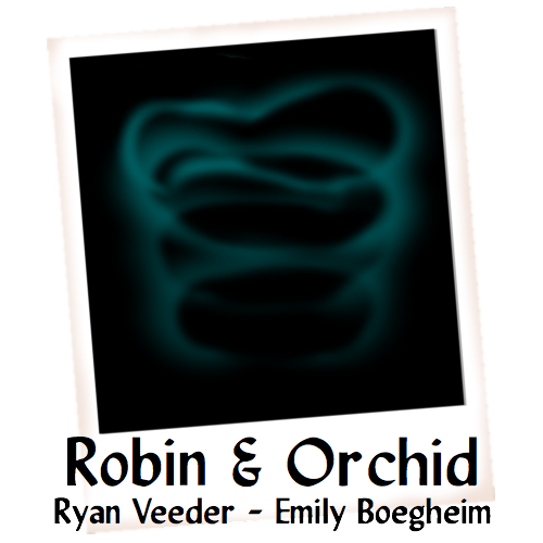 Cover art for Robin & Orchid