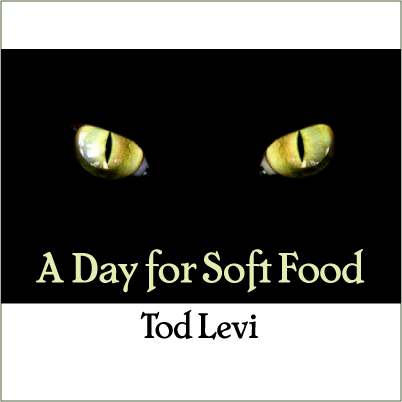 Cover art for A Day for Soft Food