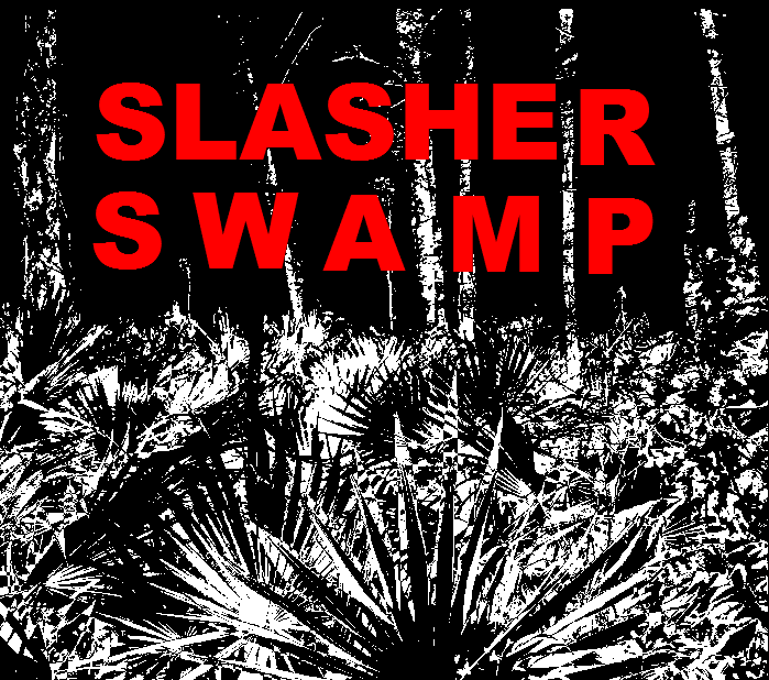 Cover art for Slasher Swamp